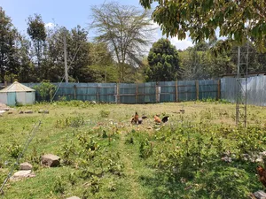 Nanyuki Town Plots