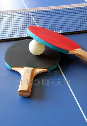15mm Thickness Brand New Fully Foldable Table Tennis