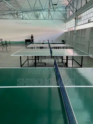 Grand Precious Table Tennis