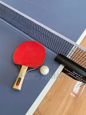 Professional Grade Quality Table Tennis