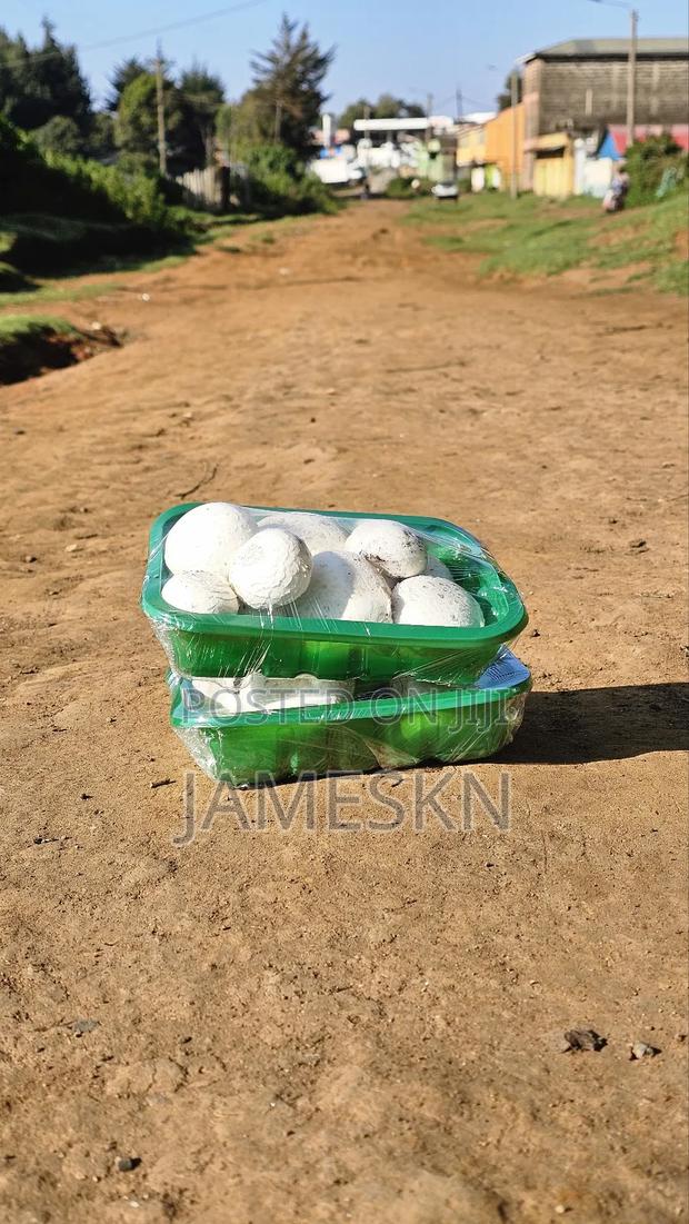 Skeleshrooms Mushrooms - thumbnail 8