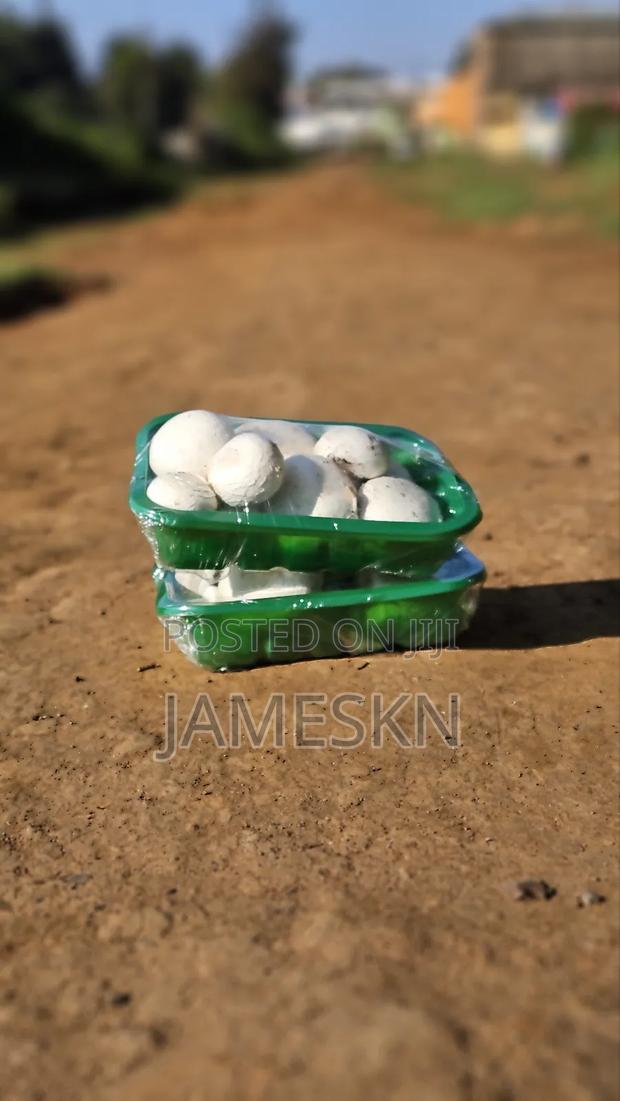 Skeleshrooms Mushrooms - thumbnail 9