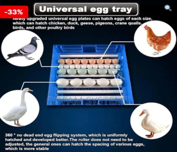 64-Eggs Automatic Egg Incubator Temperature Control Hatcher - thumbnail 2