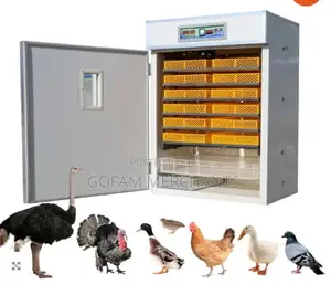 Automatic Ac Egg Incubator-528