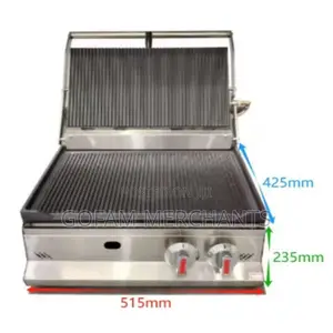 Commercial Gas Panini Grill