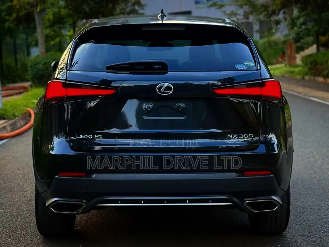 Lexus NX 300h AWD 2018 Silver