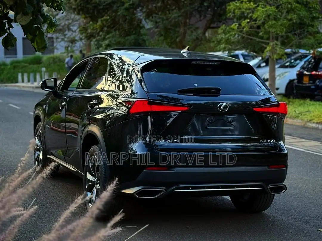 Lexus NX 300h AWD 2018 Silver