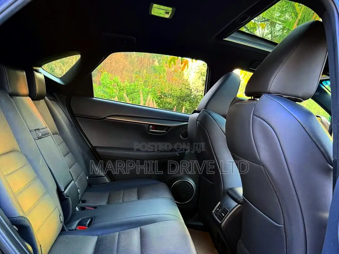 Lexus NX 300h AWD 2018 Silver