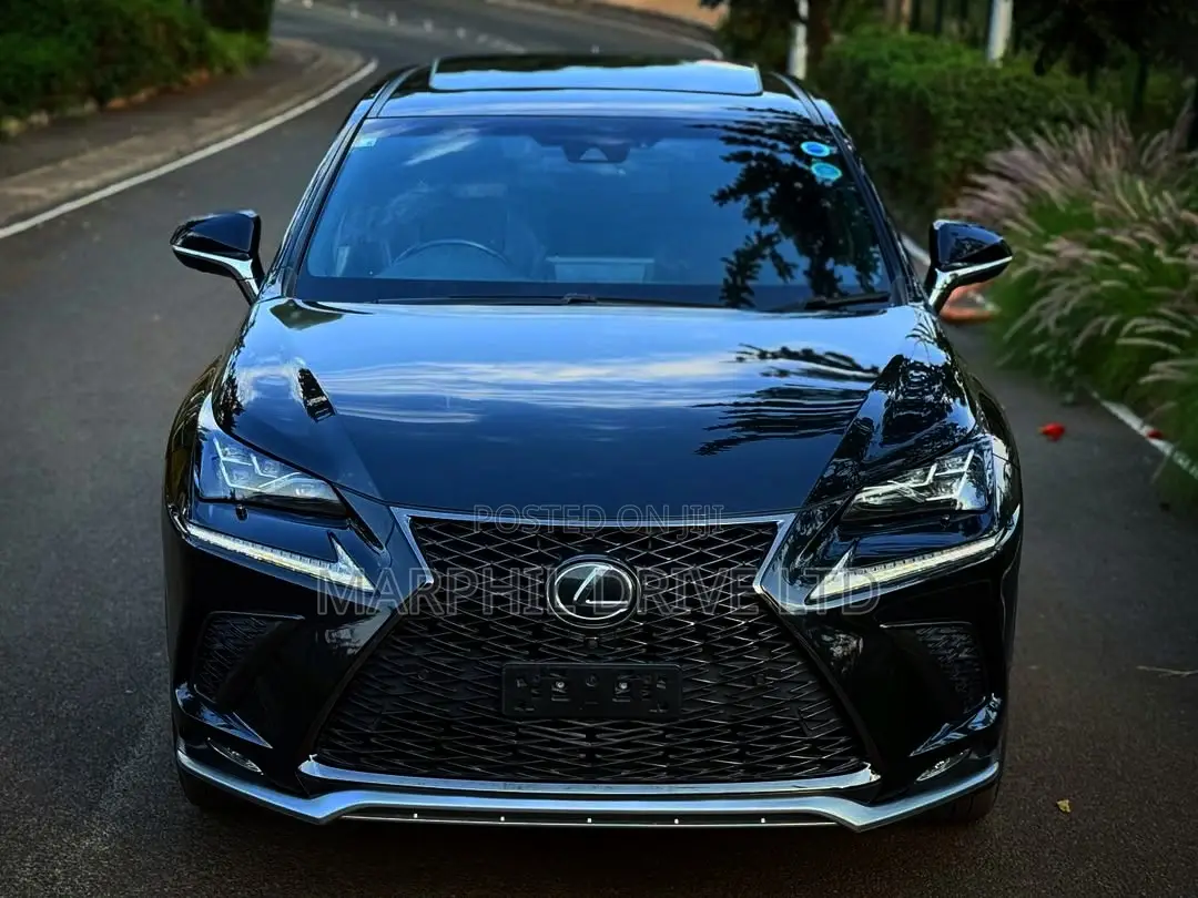 Lexus NX 300h AWD 2018 Silver