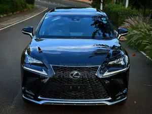 Lexus NX 300h AWD 2018 Silver