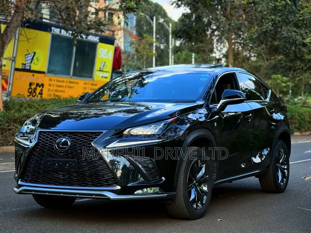 Lexus NX 300h AWD 2018 Silver