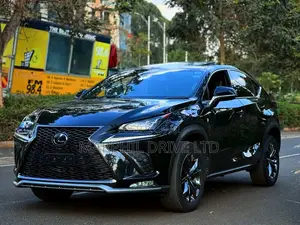 Lexus NX 300h AWD 2018 Silver