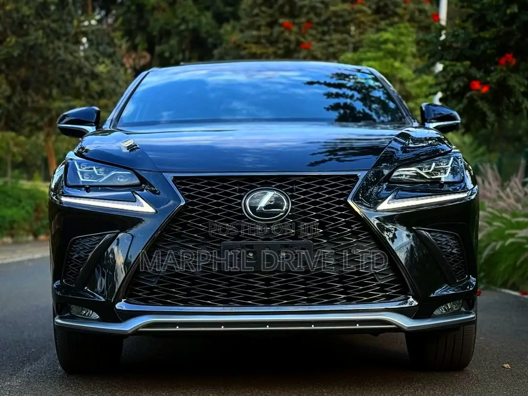 Lexus NX 300h AWD 2018 Silver