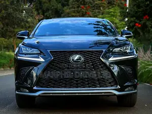 Lexus NX 300h AWD 2018 Silver