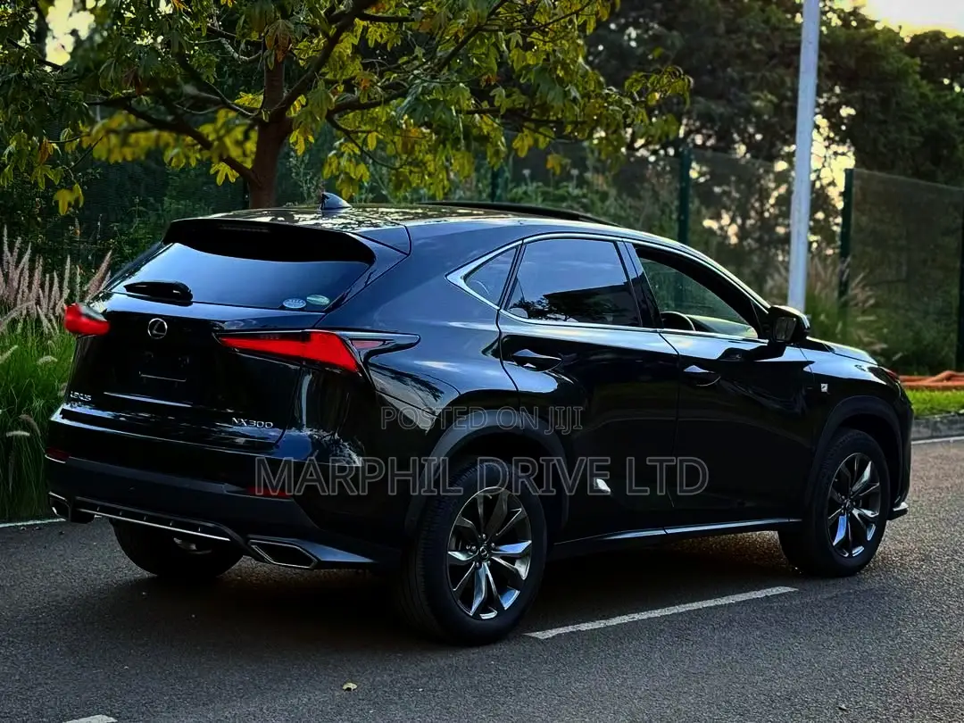 Lexus NX 300h AWD 2018 Silver