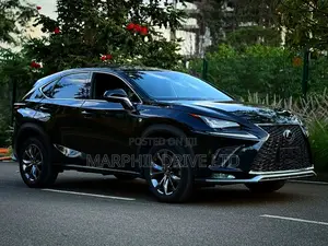 Lexus NX 300h AWD 2018 Silver