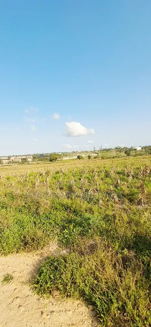 For Sale 10 Acres Prime Land Mariakani