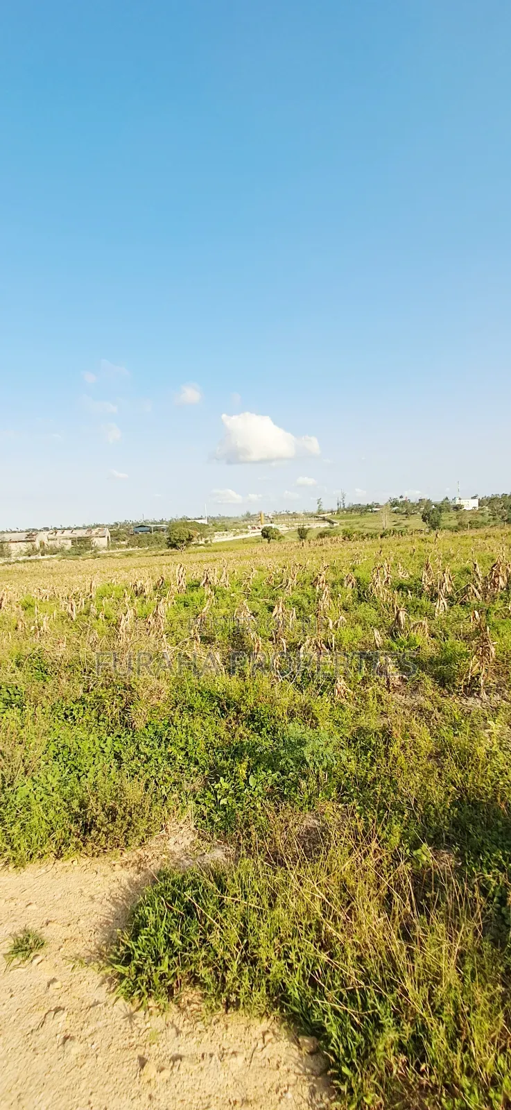 For Sale 10 Acres Prime Land Mariakani
