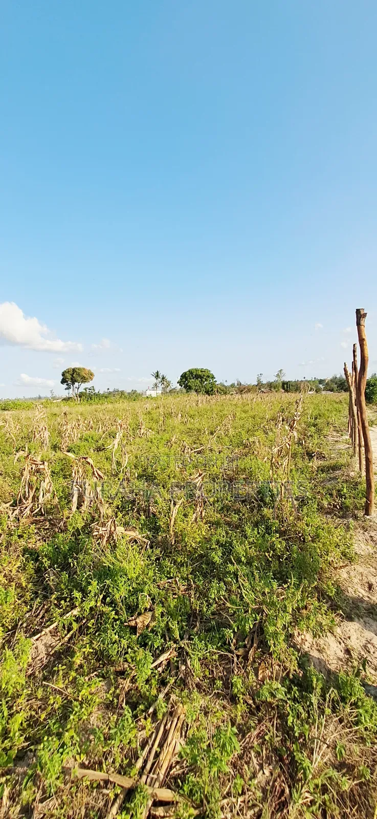 For Sale 10 Acres Prime Land Mariakani