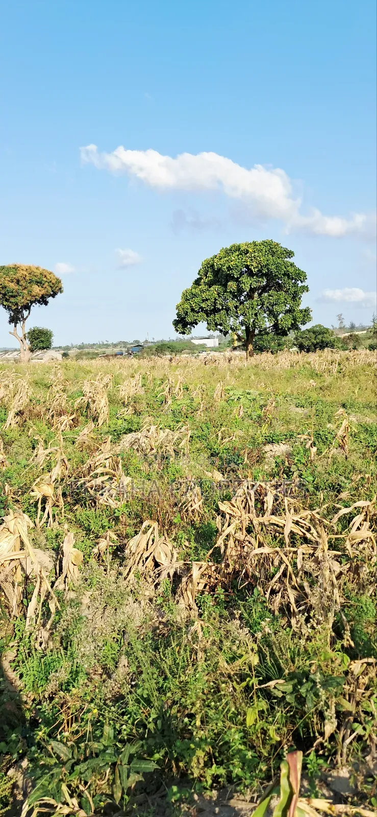 For Sale 10 Acres Prime Land Mariakani