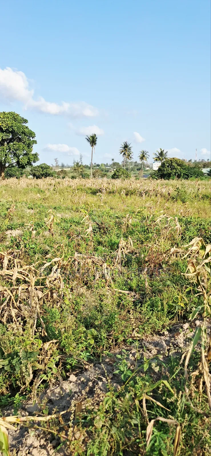 For Sale 10 Acres Prime Land Mariakani