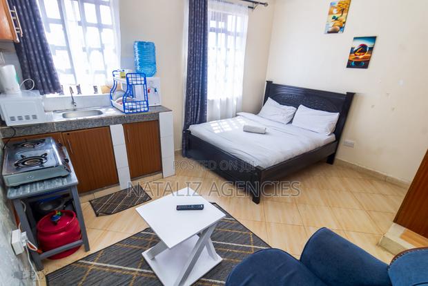 Accessible Studio in Utawala - main view