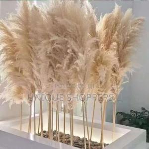 Big Fluffy Pampas Grass Dried Decorative Flowers Decor Flowers