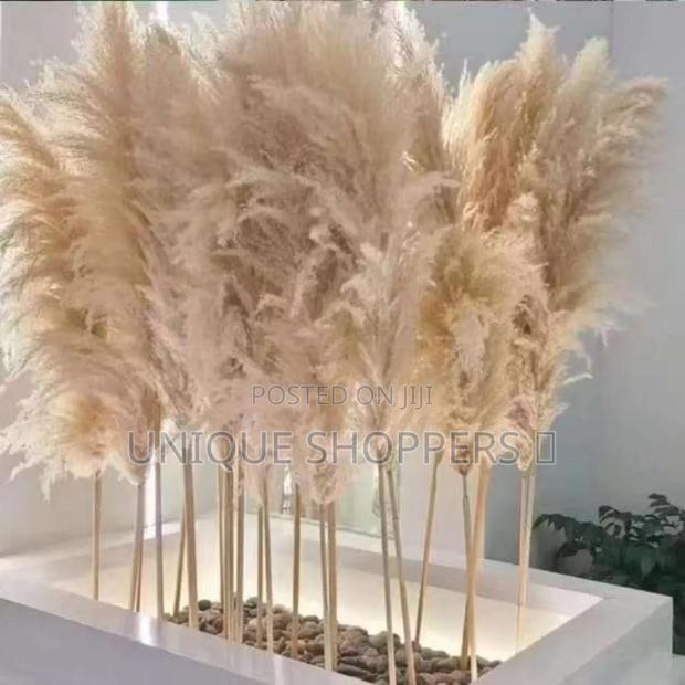 Big Fluffy Pampas Grass Dried Decorative Flowers Decor Flowers