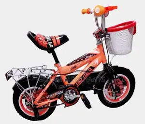 16 Inch Zd-40 Model Bike for 4-7 Years