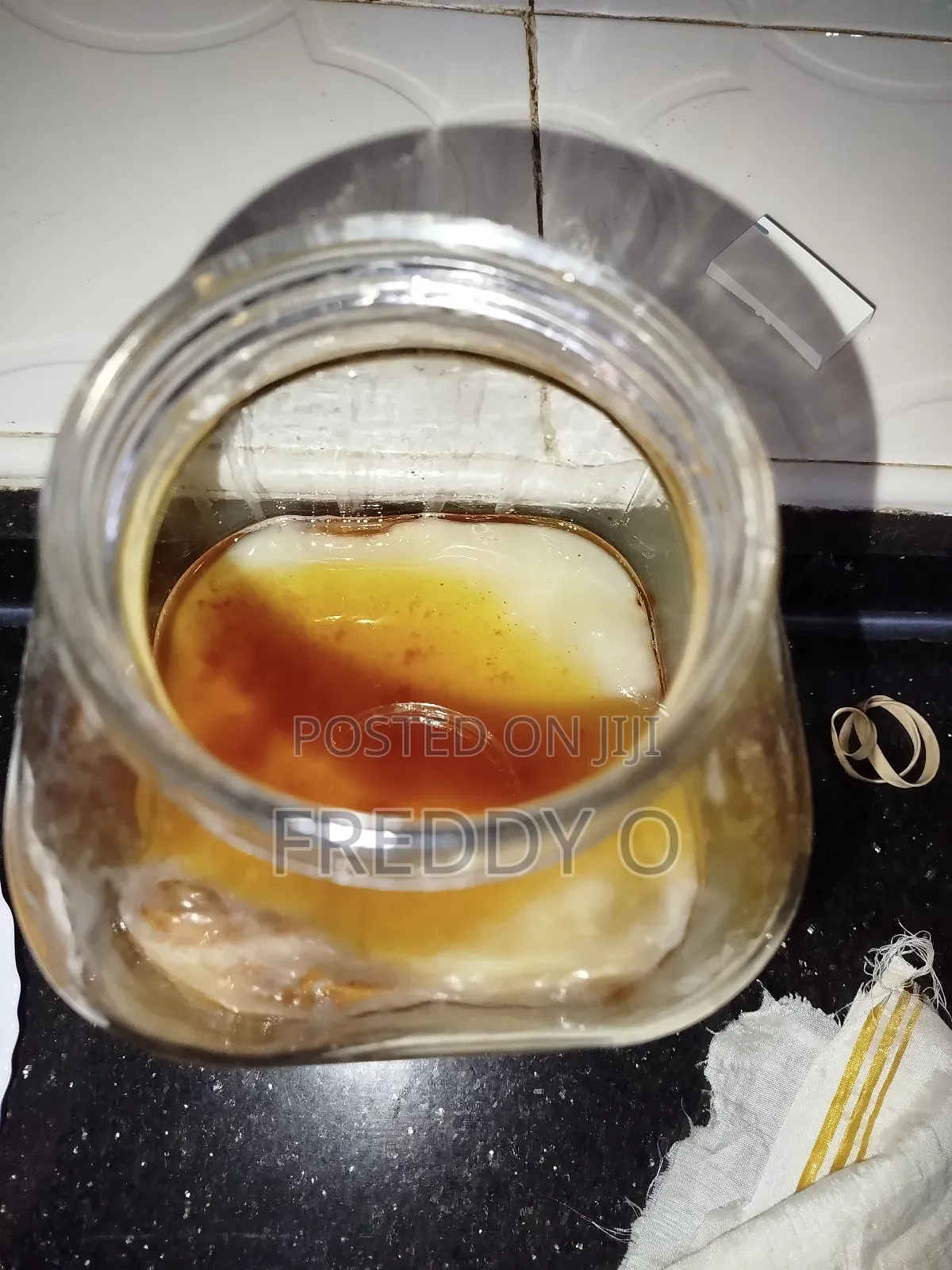 Kombucha Scoby