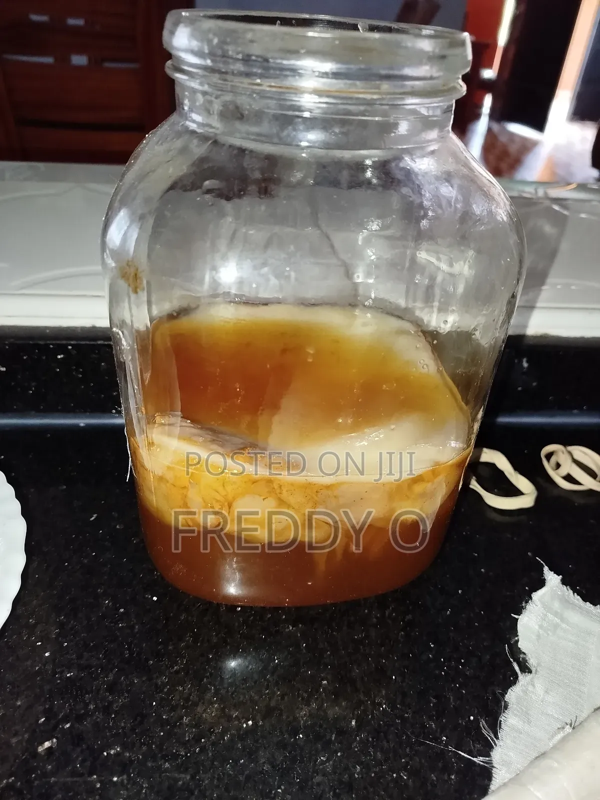 Kombucha Scoby