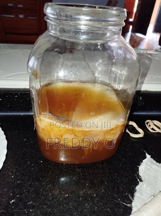 Kombucha Scoby - thumbnail 4
