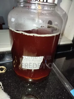 Kombucha Scoby