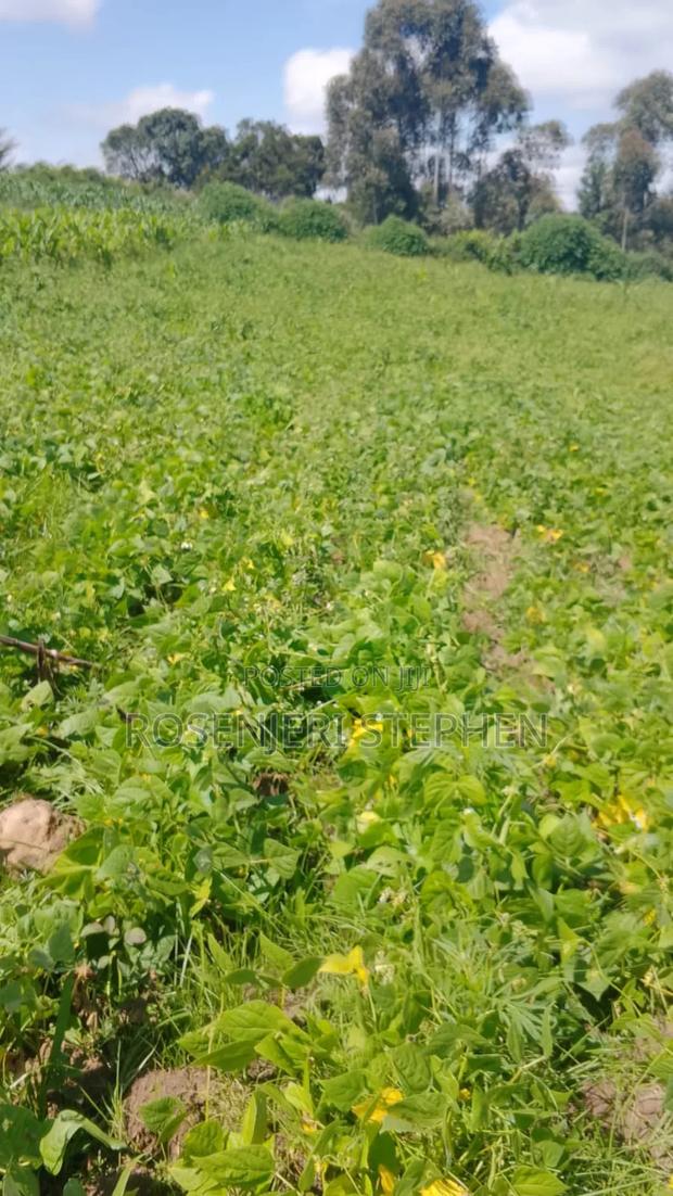 Land for Sale - main view