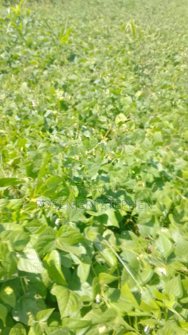 Land for Sale - thumbnail 5