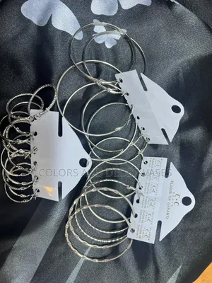 Loop Earings Silver