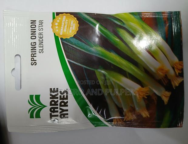 Spring Onion Slender Star - main view