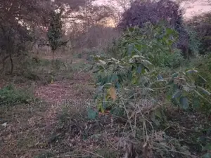 1 Acre Land for Sale in Ongata Rongai