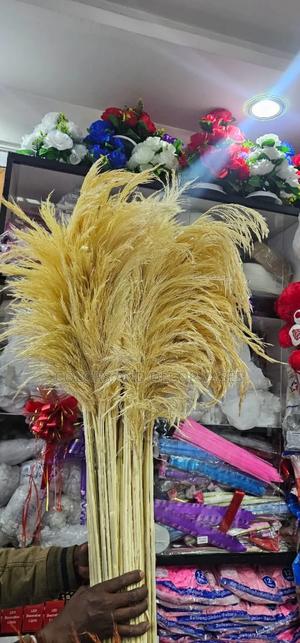 Beige and Off White Pampas Grass - thumbnail 2