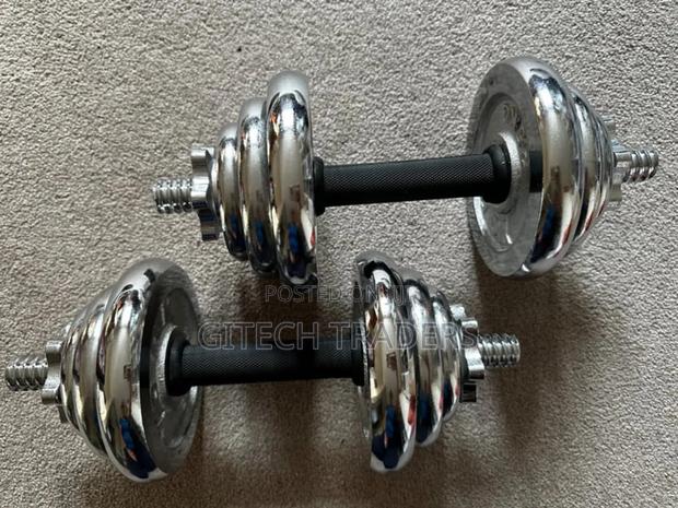 Chrome Dumbbell Set 10kgs