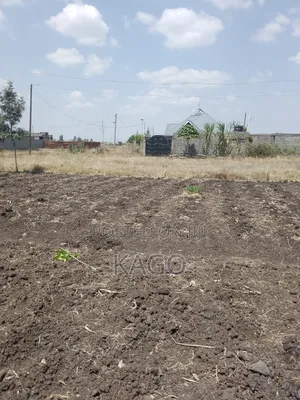 40 by 60 Plots at Murera Farm, Magomano