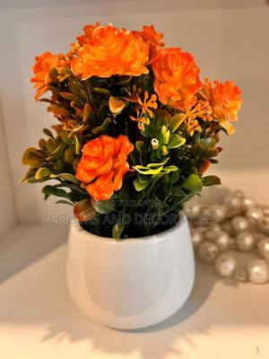 Bonsai Orange in White Vase - thumbnail 2