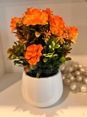 Bonsai Orange in White Vase