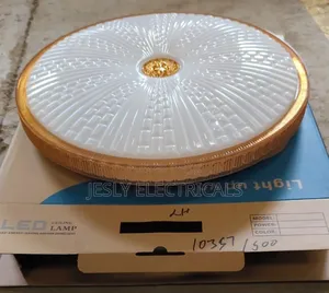Modern Led Flush Light
