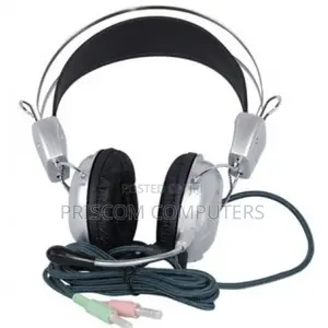 Headphones With Microphone, Headset With Mic