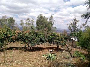 Mua Hills 10 Acres - main view