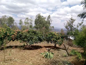 Mua Hills 10 Acres