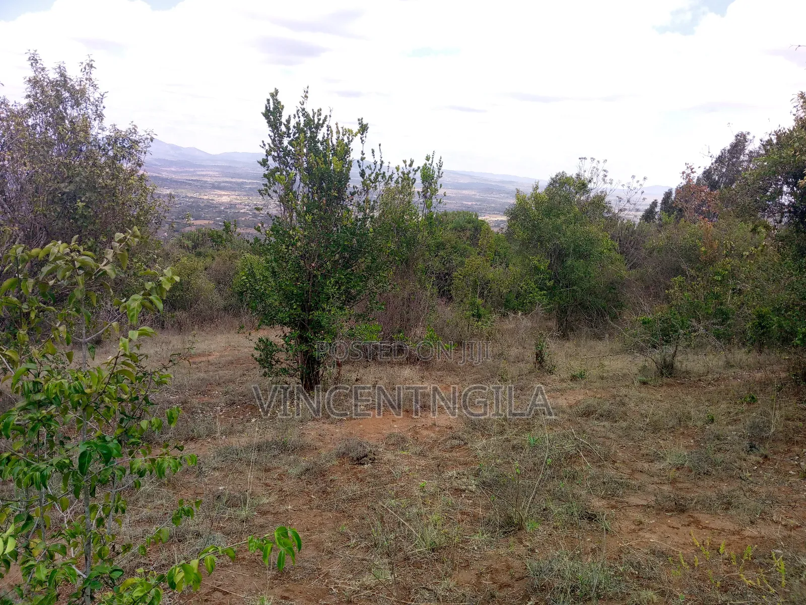 Mua Hills 10 Acres