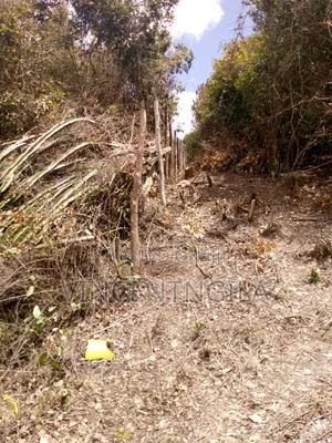 Mua Hills 10 Acres