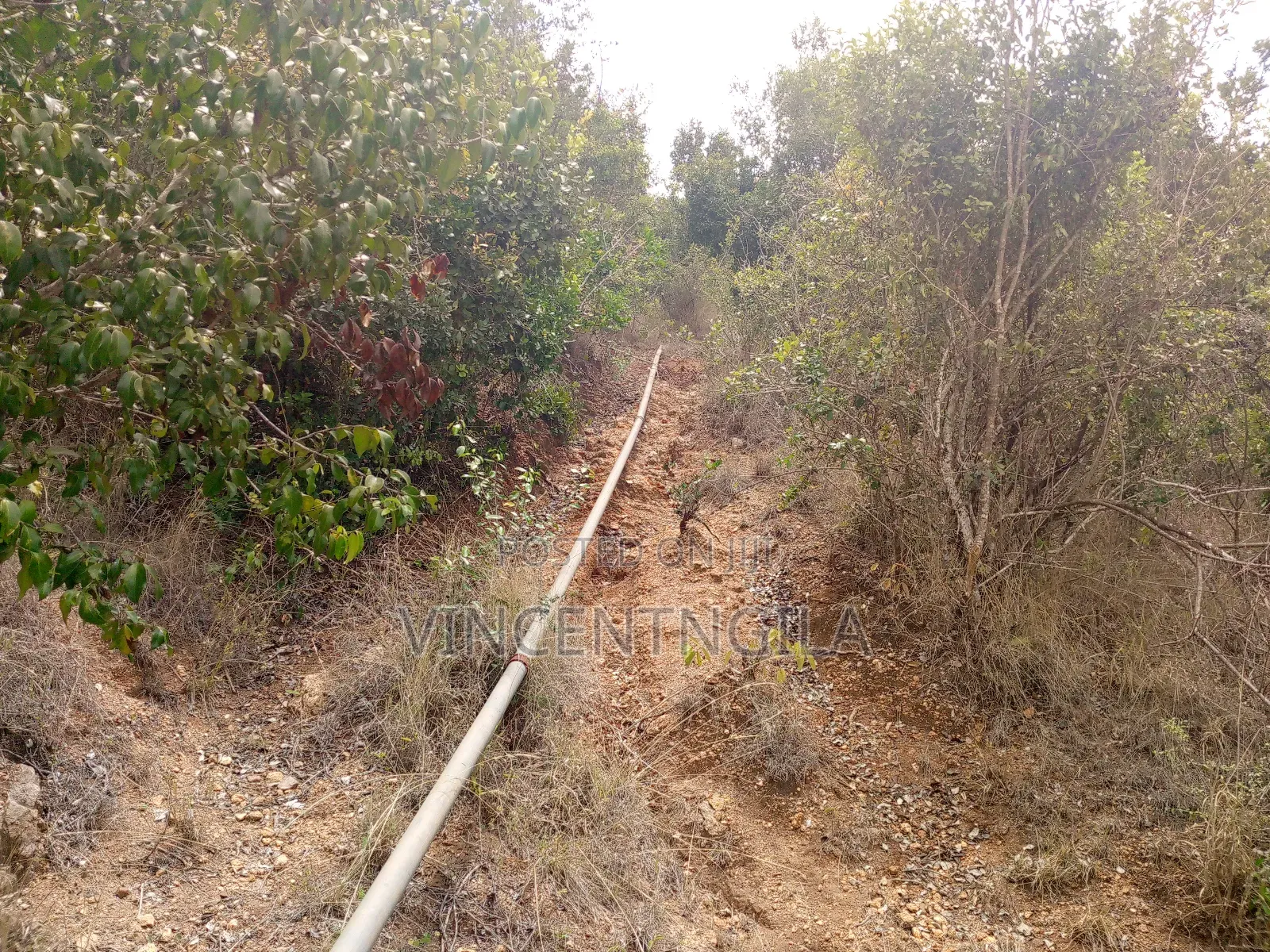 Mua Hills 10 Acres